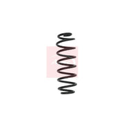 Apec Rear Suspension Coil Spring ACS1569