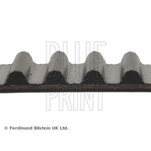 Blue Print Timing Belt Cambelt 112 Teeth ADA107504