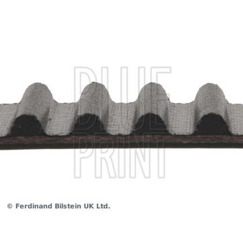 Blue Print Timing Belt Cambelt 112 Teeth ADA107504