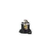 NRF Thermostat,Coolant 725379