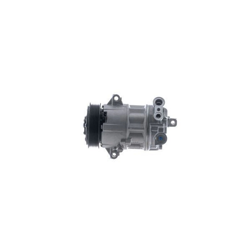 Mahle Air Conditioning Compressor ACP 1563 000P
