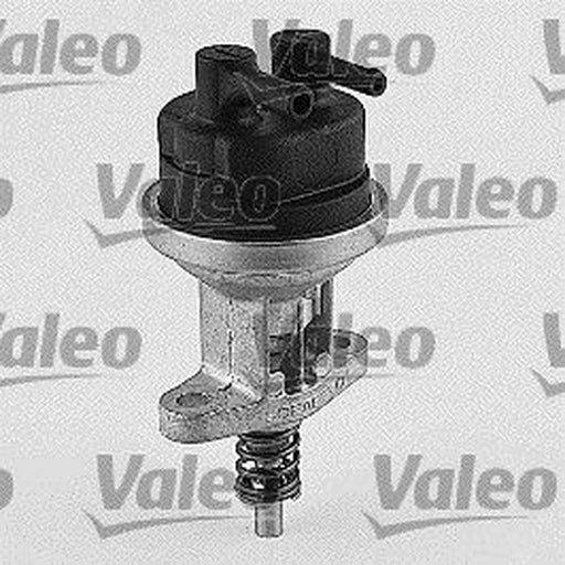 Valeo Fuel Pump Assembly 247087