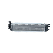 NRF Electric Motor Radiator (Traction Battery) 550368