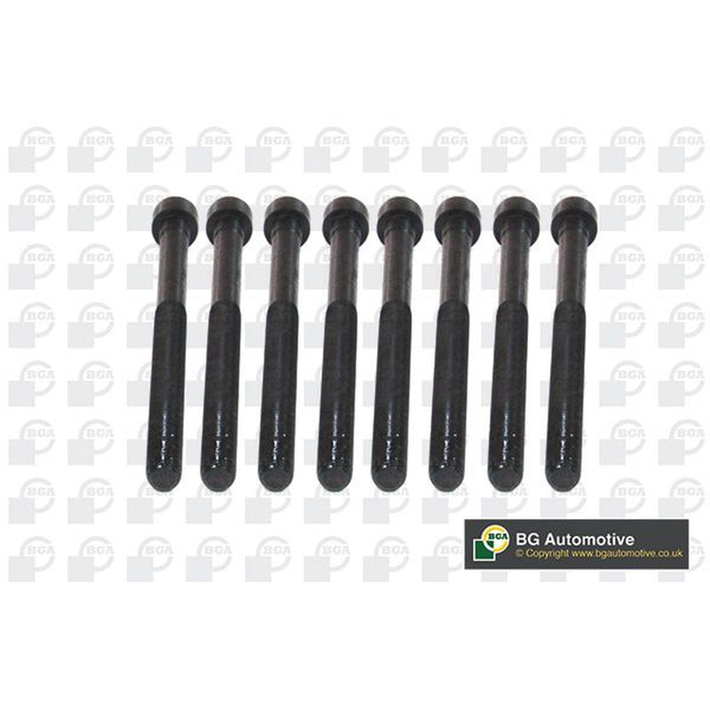 BGA Cylinder Head Bolt Set M11 BK5916