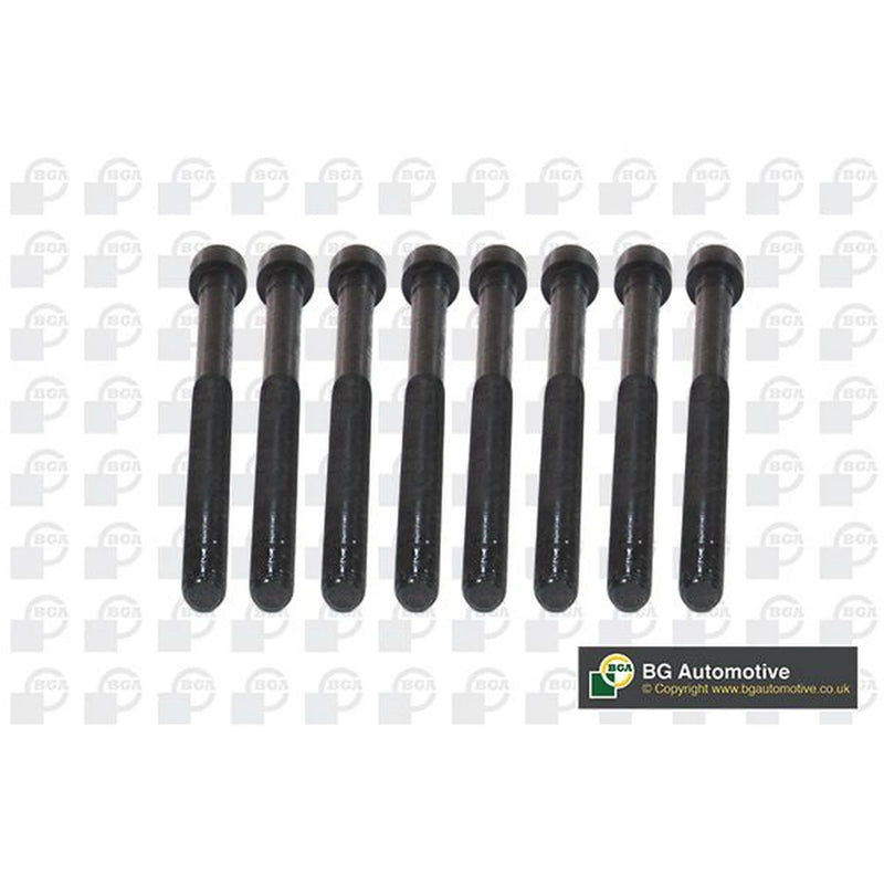 BGA Cylinder Head Bolt Set M11 BK5916