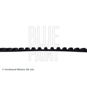Blue Print Timing Belt Cambelt 109 Teeth ADJ137508