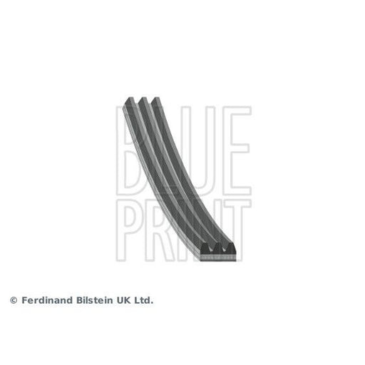 Blue Print Multi V-Ribbed Drive Belt AD03R865