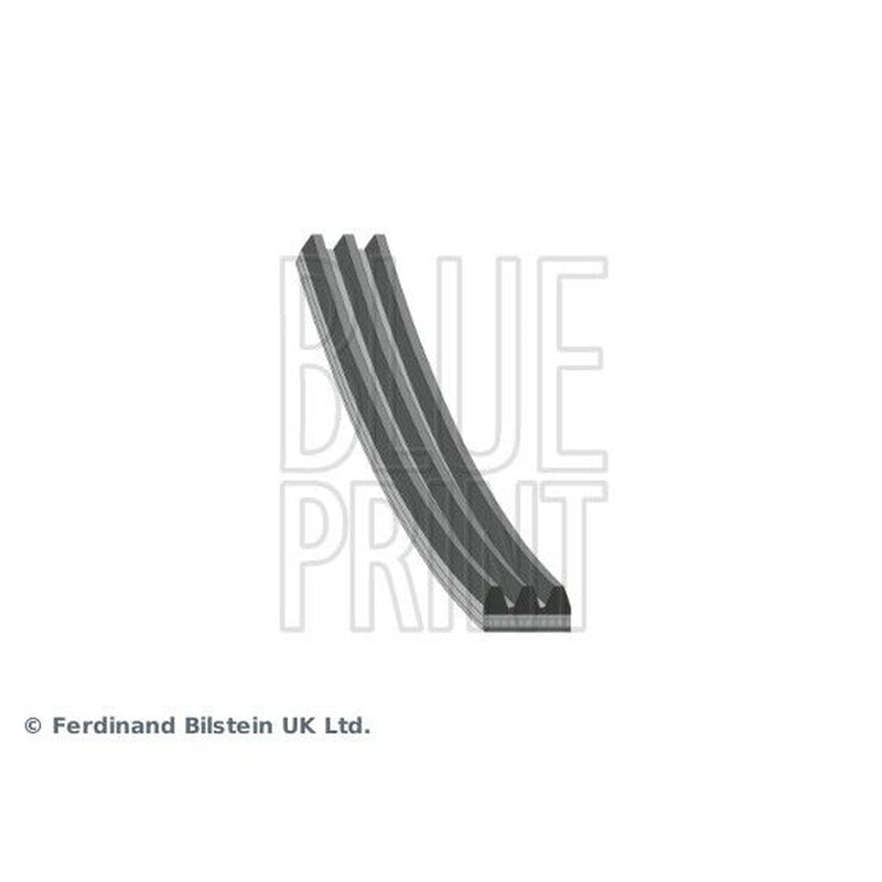 Blue Print Multi V-Ribbed Drive Belt AD03R735