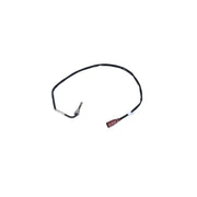NRF Exhaust Gas Temperature Sensor before soot particu 707084