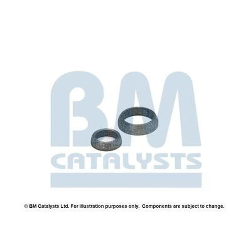 BM Catalysts Fitting Kit FK91225A FK91225A