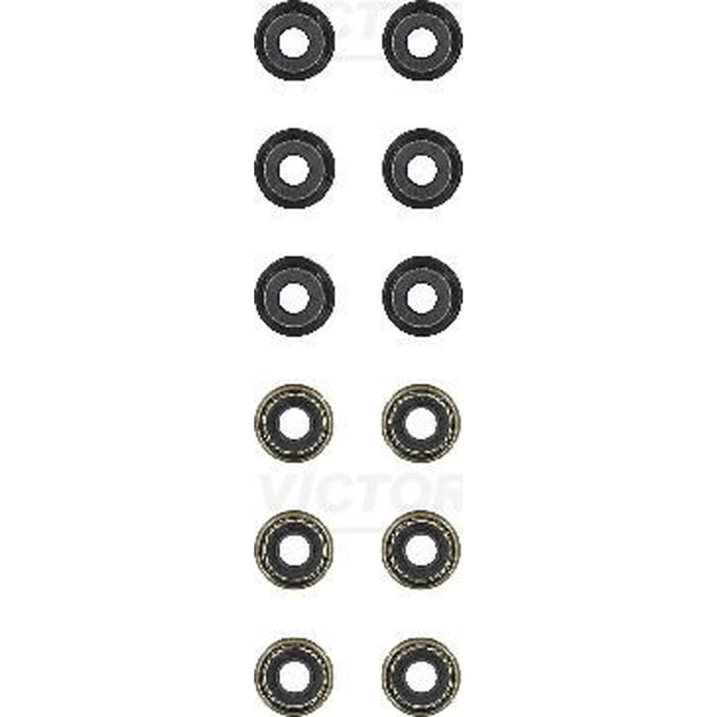 Victor Reinz Valve Stem Seal Set ID High 12-53093-03