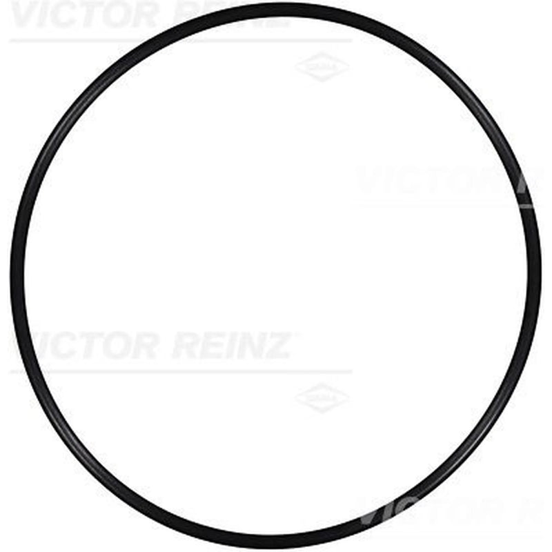 Victor Reinz Sealing Ring Gasket 40-76243-00