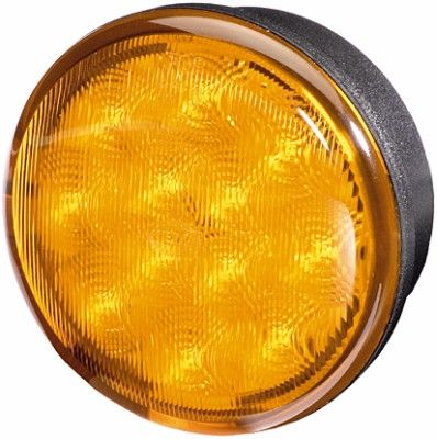 Hella 2BA 959 011-307 Direction Indicator