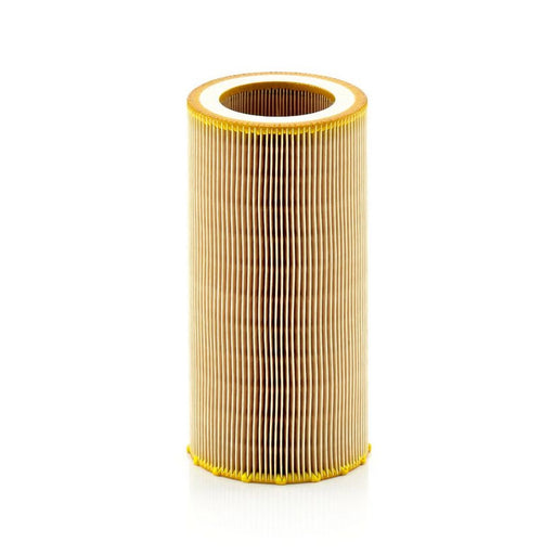 MANN-FILTER Engine Air Filter C 10 050 OE 83084016524 7485138330 16546LC50A