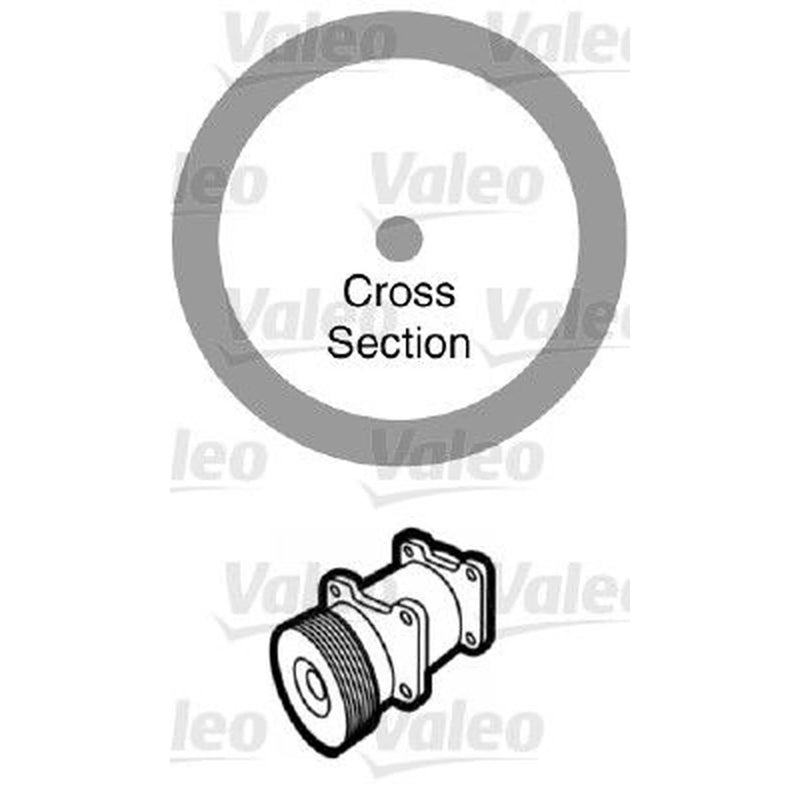 Valeo A/C O'Ring - Bag Per 20 509174 509174