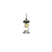 NRF Thermostat,Coolant 725093