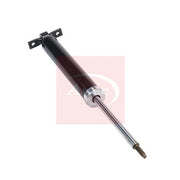 Apec Shock Absorber Damper Strut Rear Right ASA2074