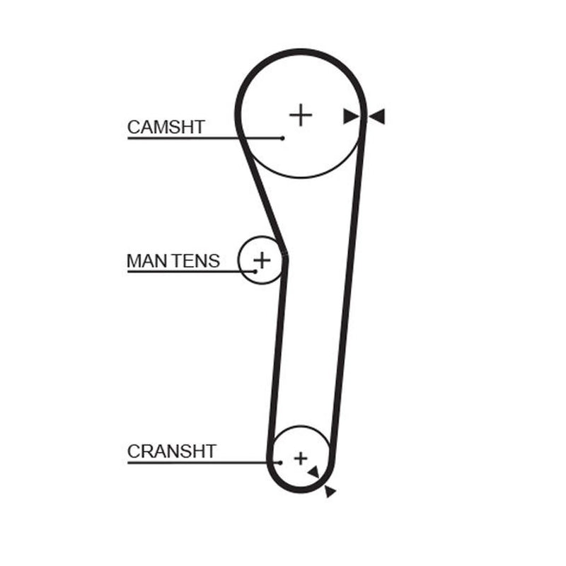 Gates Timing Belt Cambelt 102 Teeth 5091