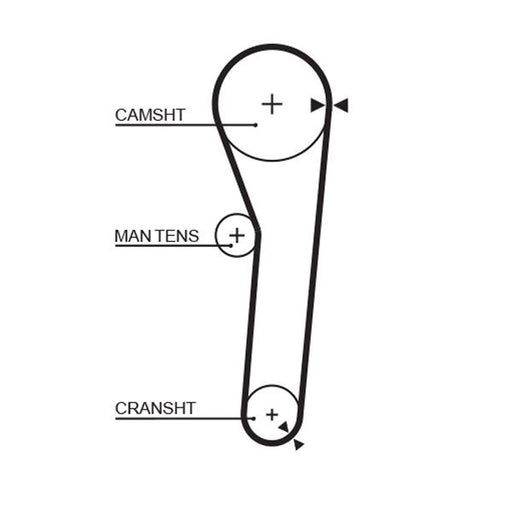 Gates Timing Belt Cambelt 102 Teeth 5091