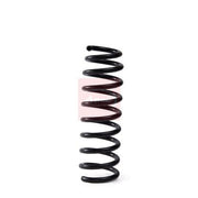 Apec Rear Suspension Coil Spring ACS2020