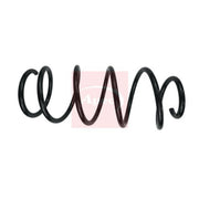 Apec Front Suspension Coil Spring ACS1678