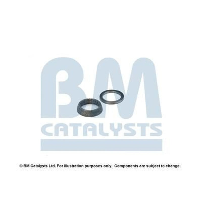 BM Catalysts Fitting Kit FK90959A FK90959A