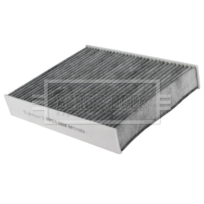Borg & Beck Cabin Air Filter (Pollen Filter) BFC1353