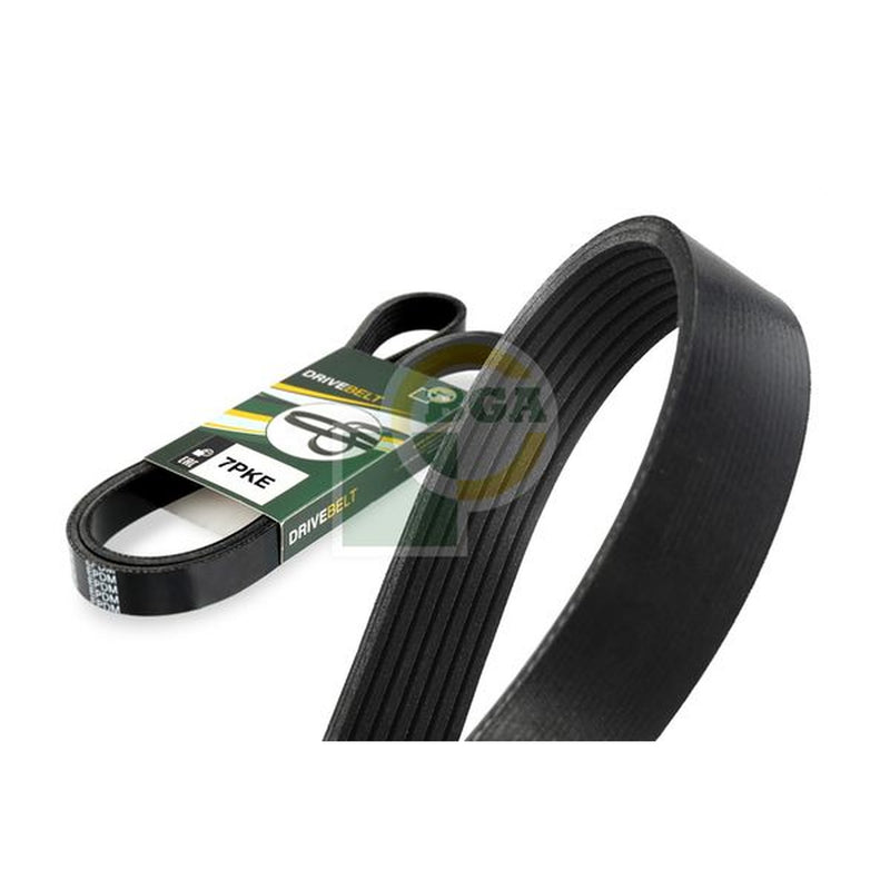 BGA Multi V-Ribbed Drive Belt 7PK1165E