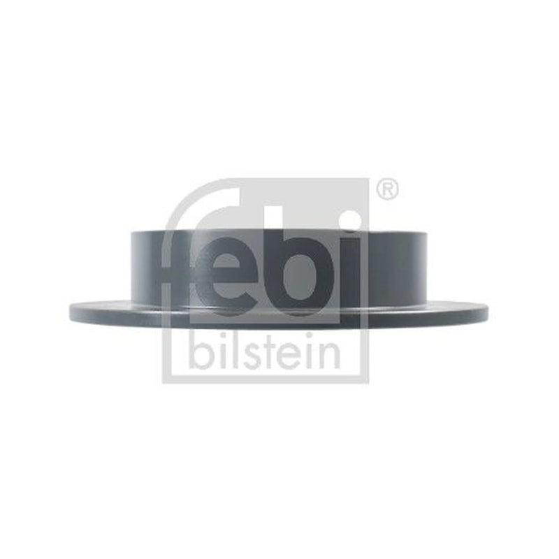 Febi 2 x Solid Rear Brake Discs 170697
