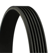Continental CTAM Multi V-Ribbed Drive Belt 6PK1800