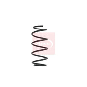 Apec Front Suspension Coil Spring ACS1620
