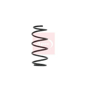 Apec Front Suspension Coil Spring ACS1620