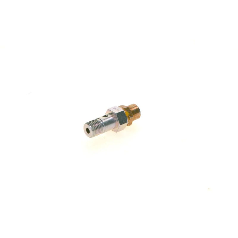 Bosch Fuel Injection Control Valve 1 417 413 049