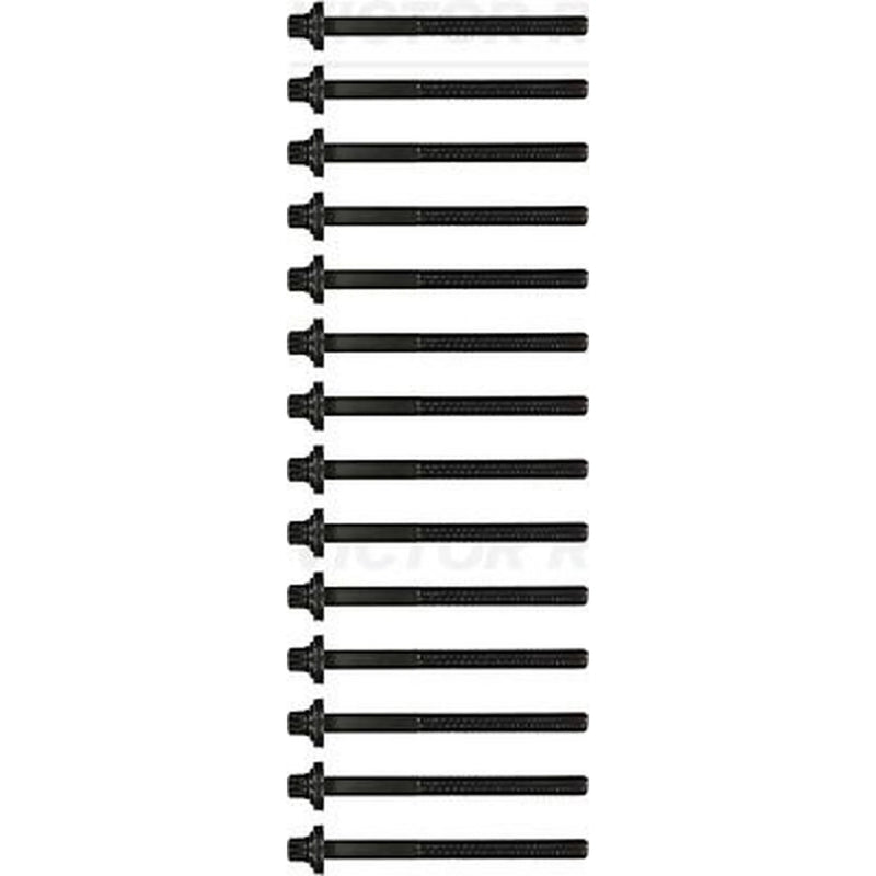 Victor Reinz Cylinder Head Bolt Set M12 14-32004-01