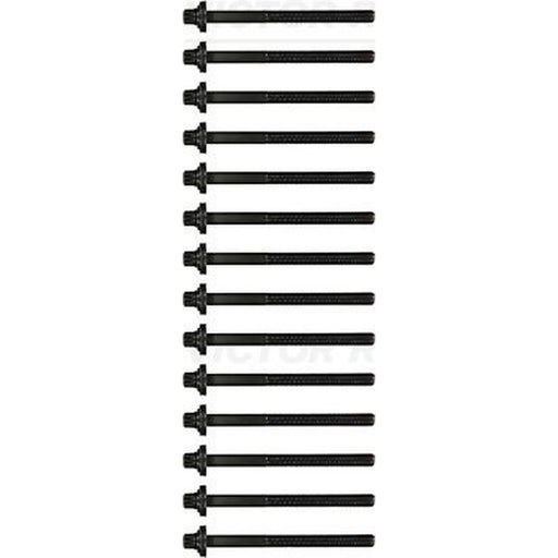 Victor Reinz Cylinder Head Bolt Set M12 14-32004-01