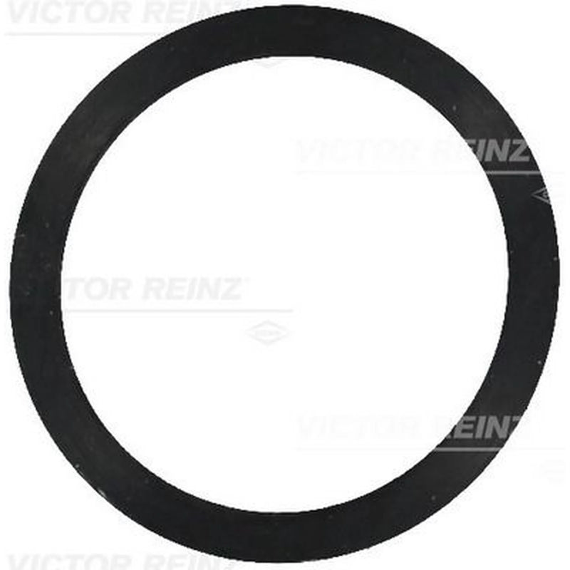 Victor Reinz Sealing Ring Gasket 40-77245-00