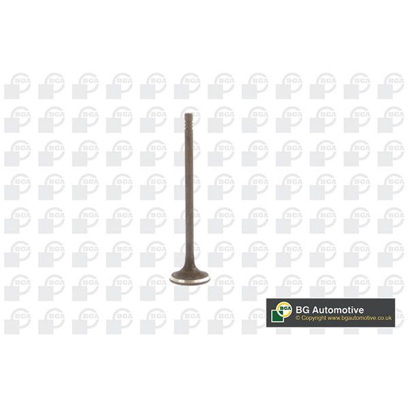 BGA Engine Exhaust Valve 24mm Head V230711