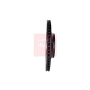Apec 2 x Vented Rear Brake Discs DSK2460