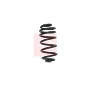 Apec 2 x Suspension Springs ACS1588