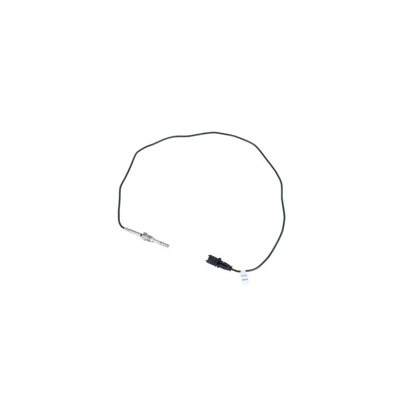 NRF Exhaust Gas Temperature Sensor before soot particulate f 707163