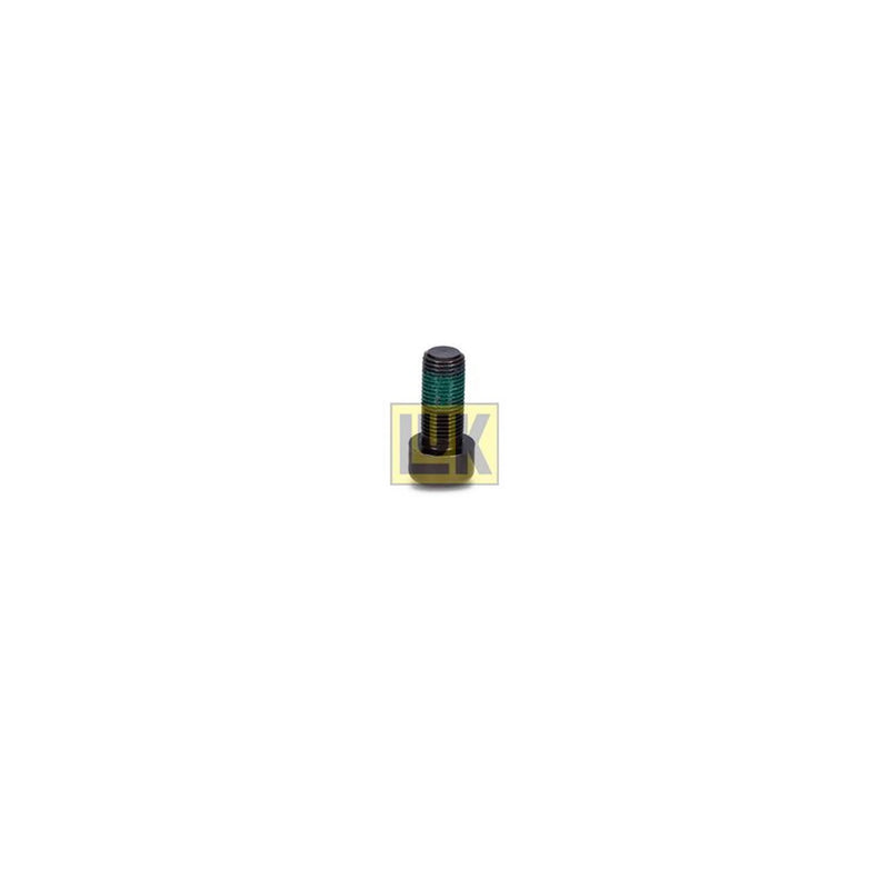 LuK Dmf Bolt Fitting Kit 411013310