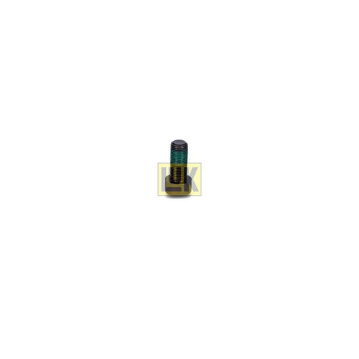 LuK Dmf Bolt Fitting Kit 411013310