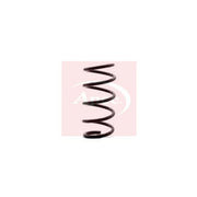 Apec Rear Suspension Coil Spring ACS1348