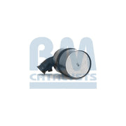 BM Catalysts Dpf BM11103