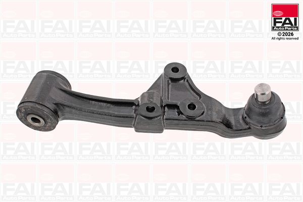 FAI Control/Trailing Arm