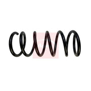 Apec 2 x Suspension Springs ACS1961