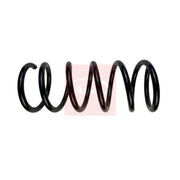 Apec Rear Suspension Coil Spring ACS1961