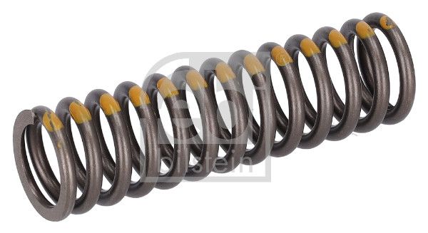 Febi Engine Valve Spring