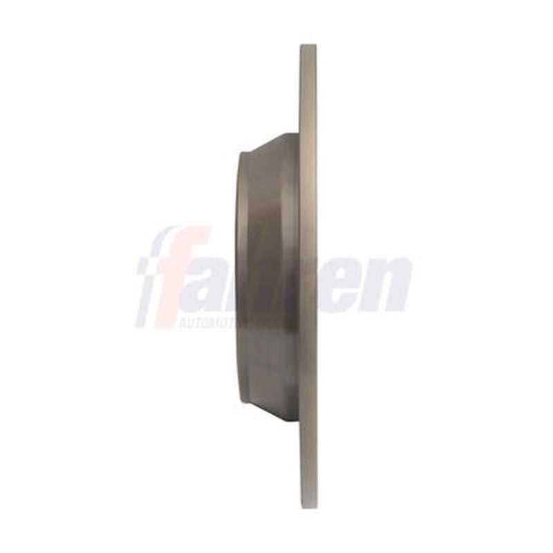 Fahren 2 x Solid Rear Brake Discs FBD6810