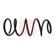 Apec Front Suspension Coil Spring ACS1943